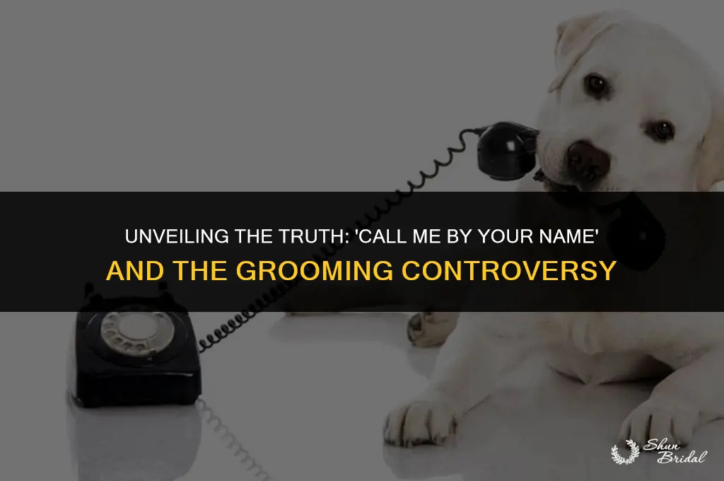 is call me by your name about grooming