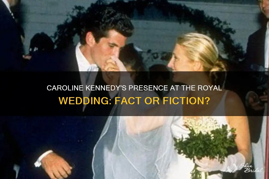 is caroline kennedy at the royal wedding