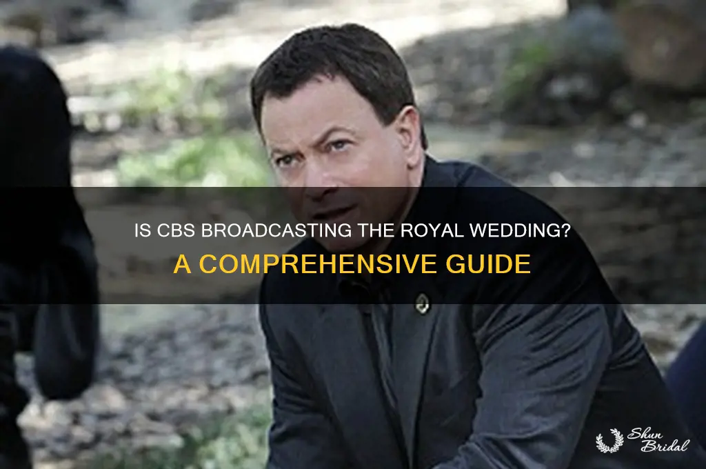 is cbs television the royal wedding