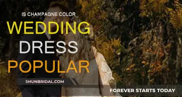 Champagne Wedding Dresses: A Popular Choice?