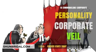 Commingling Corporate Personality: Piercing the Veil and Legal Implications