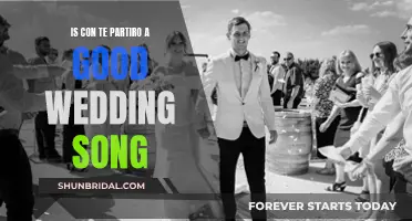 Con Te Partiro': The Perfect Wedding Song
