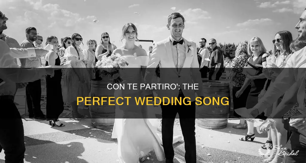 is con te partiro a good wedding song