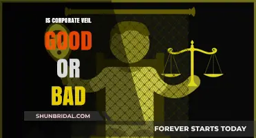 Corporate Veil: A Legal Shield or Ethical Loophole?