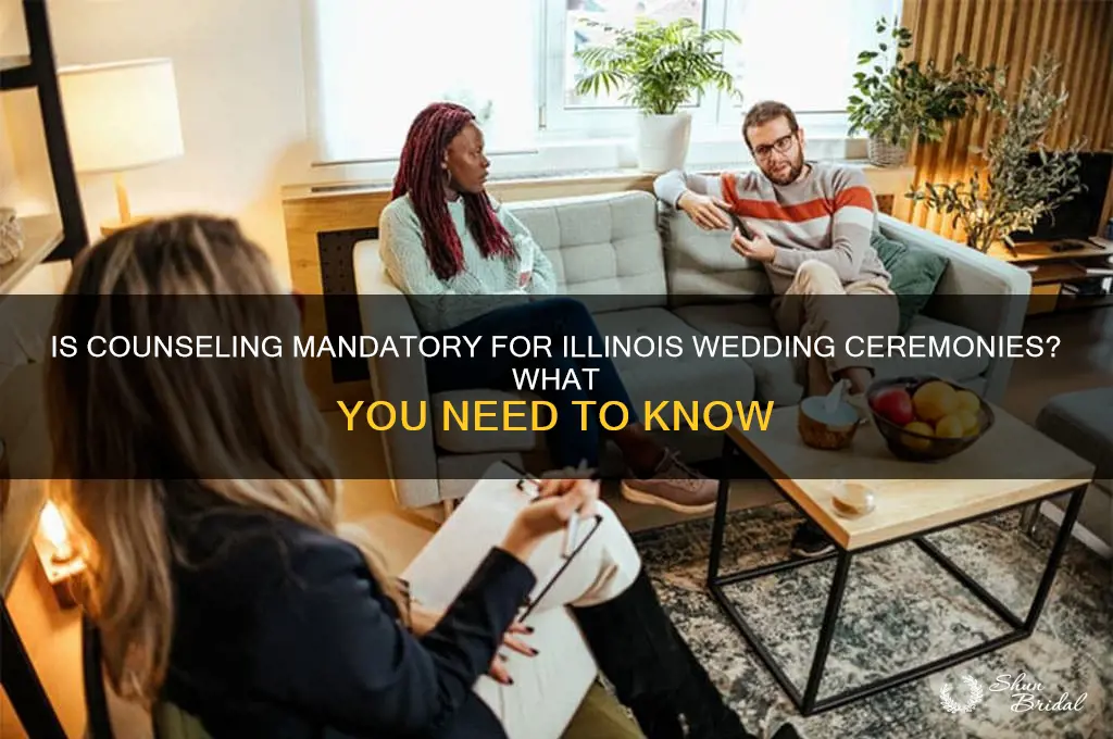 is counseling required for wedding ceremony illinois