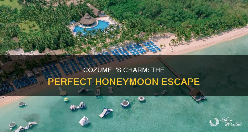 is cozumel a good honeymoon spot