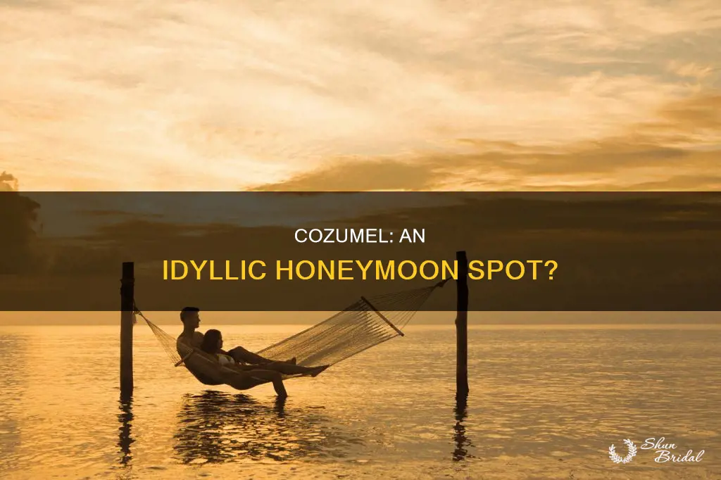 is cozumel a good honeymoon spot