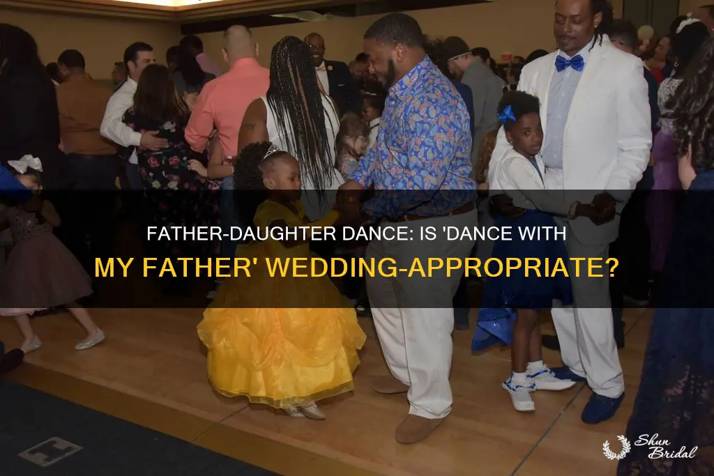 is dance with my father a wedding song