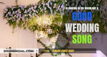 Moonlight Dancing: Perfect Wedding Song?