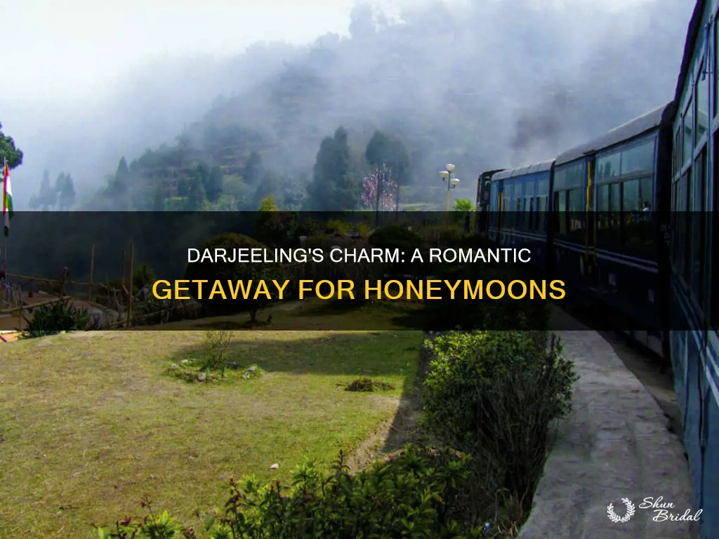 is darjeeling good for honeymoon