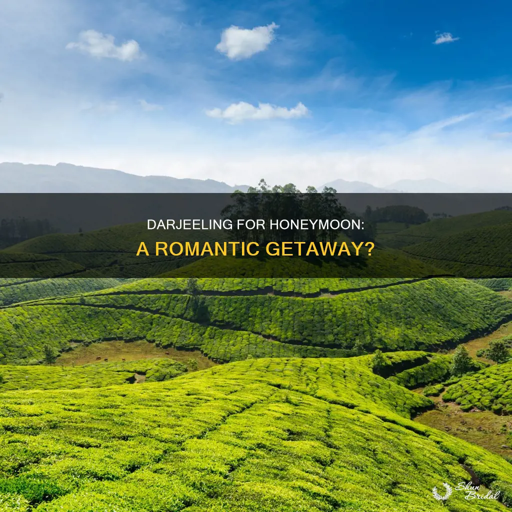 is darjeeling good for honeymoon