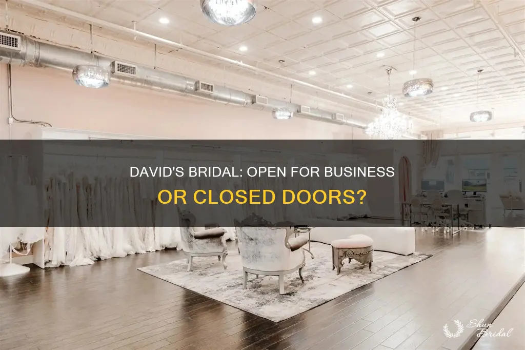 is david bridal open