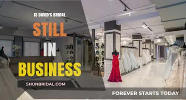 David's Bridal: Still in Business?