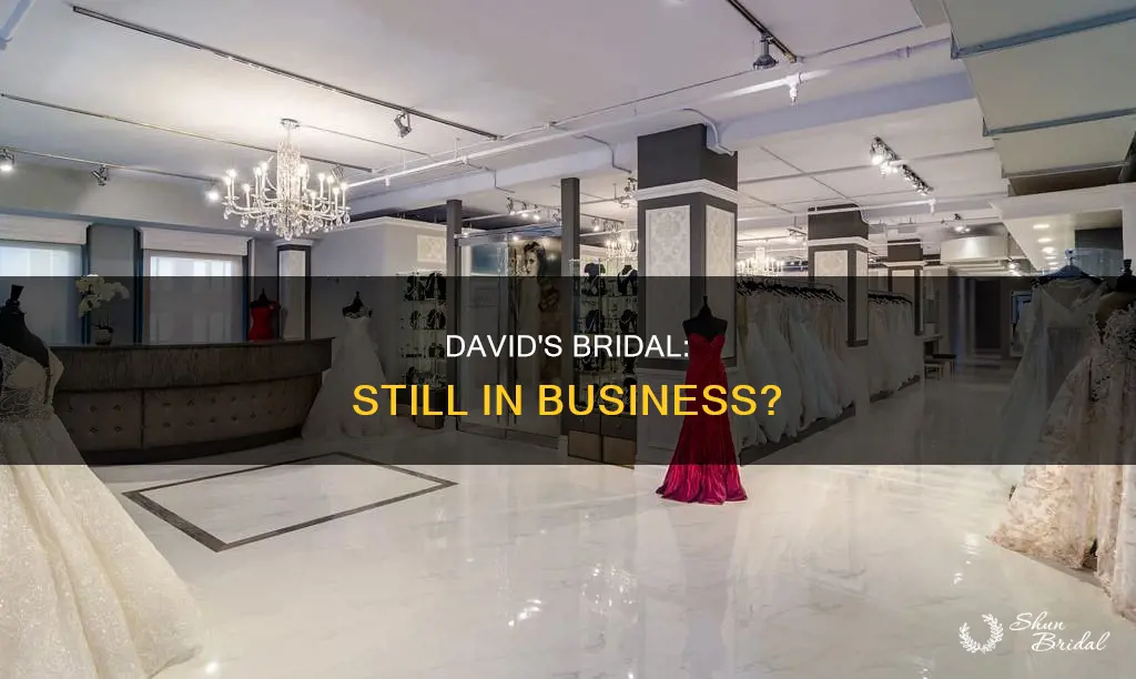 is david