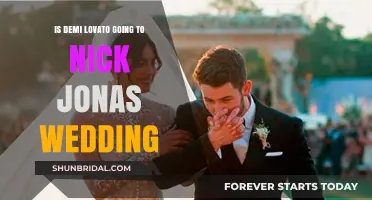 Will Demi Lovato Attend Nick Jonas' Wedding? Latest Updates