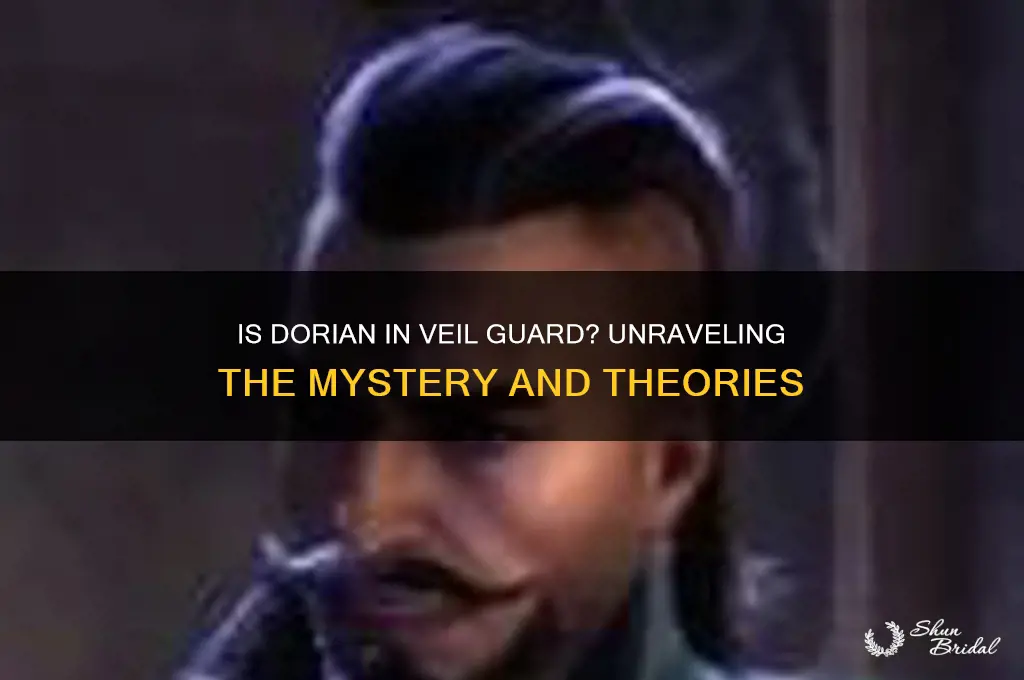 is dorian in veil guard