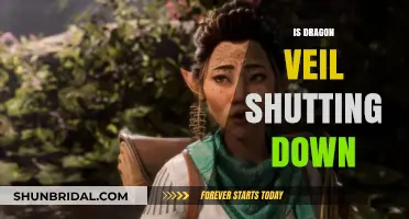 Is Dragon Veil Shutting Down? Unraveling the Rumors and Facts