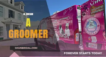 Unveiling the Truth: Is Dream a Groomer or Just a Myth?