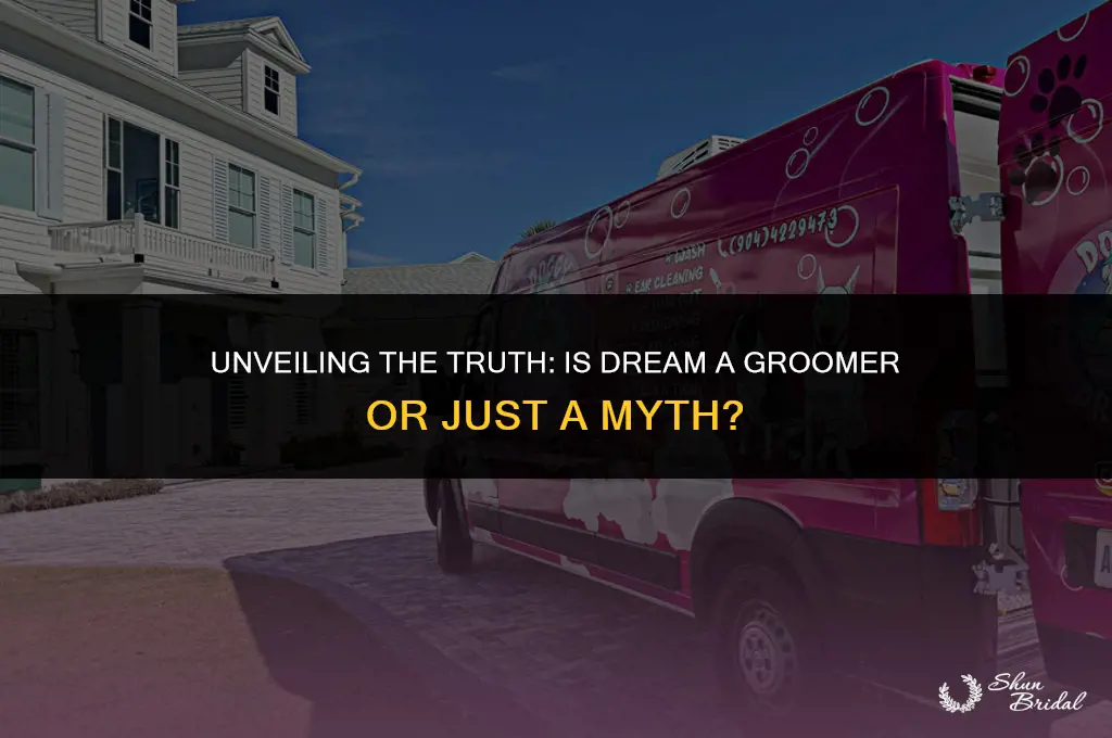 is dream a groomer