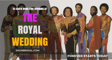 Earth, Wind & Fire's Royal Wedding Performance: A Burning Question
