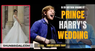 Ed Sheeran Performs at Prince Harry's Wedding