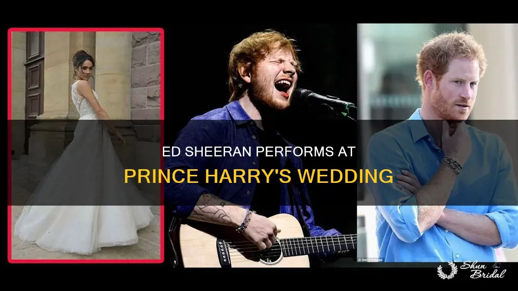 is ed sheeran singing at prince harry