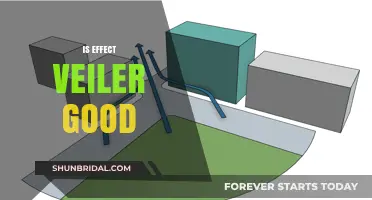 Is Effect Veiler a Game-Changer? Pros, Cons, and Strategies