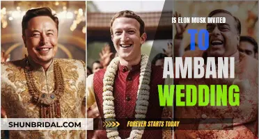 Elon Musk's Wedding Invite: Ambani's Big Day Guest List