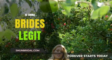 Unveiling the Truth: Is Emma Brides a Trustworthy Matchmaker?