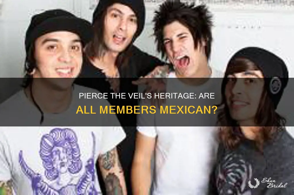 is everyone in pierce the veil mexican