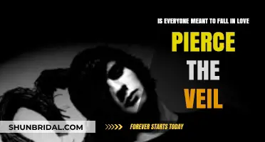 Is Falling in Love Universal? Exploring Pierce the Veil's Perspective