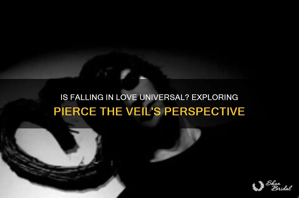 is everyone meant to fall in love pierce the veil