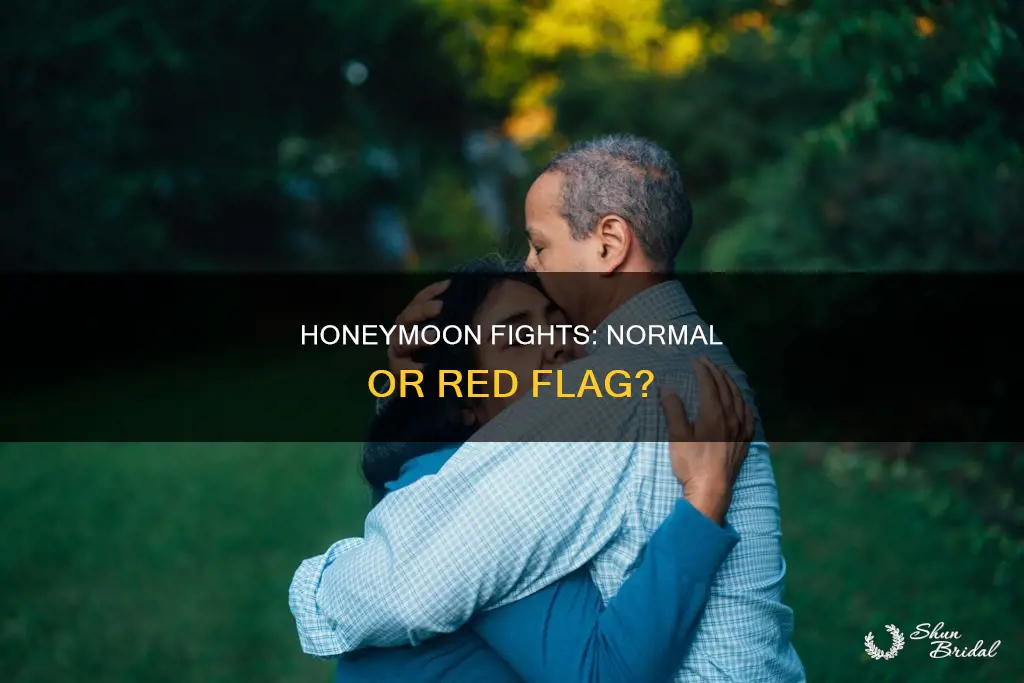 is fighting on honeymoon normal
