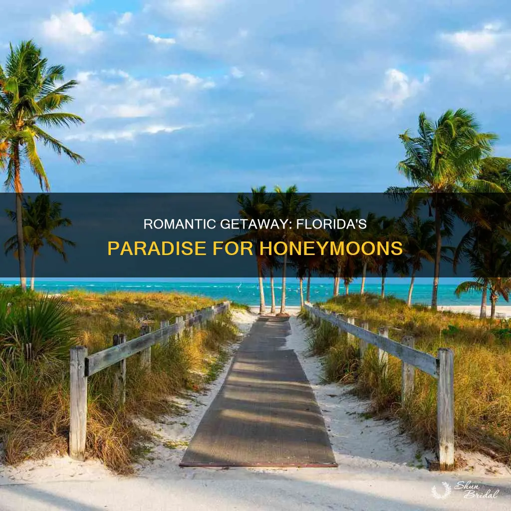 is florida a good place for a honeymoon