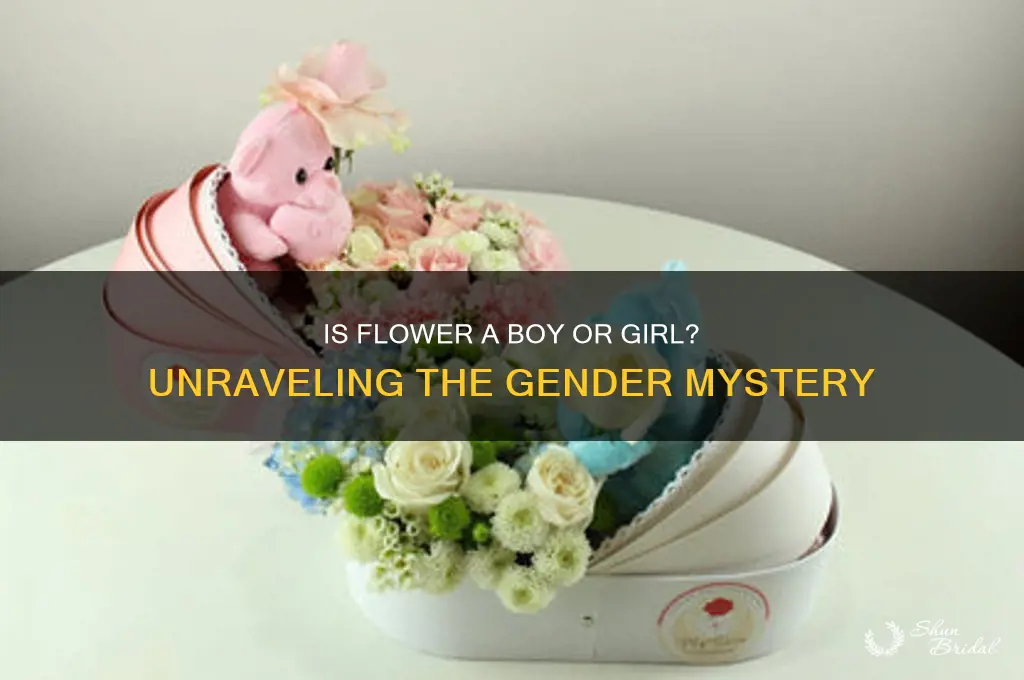 is flower a boy or a girl