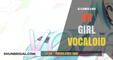 Is Flower a Boy or Girl? Unraveling the Vocaloid Mystery