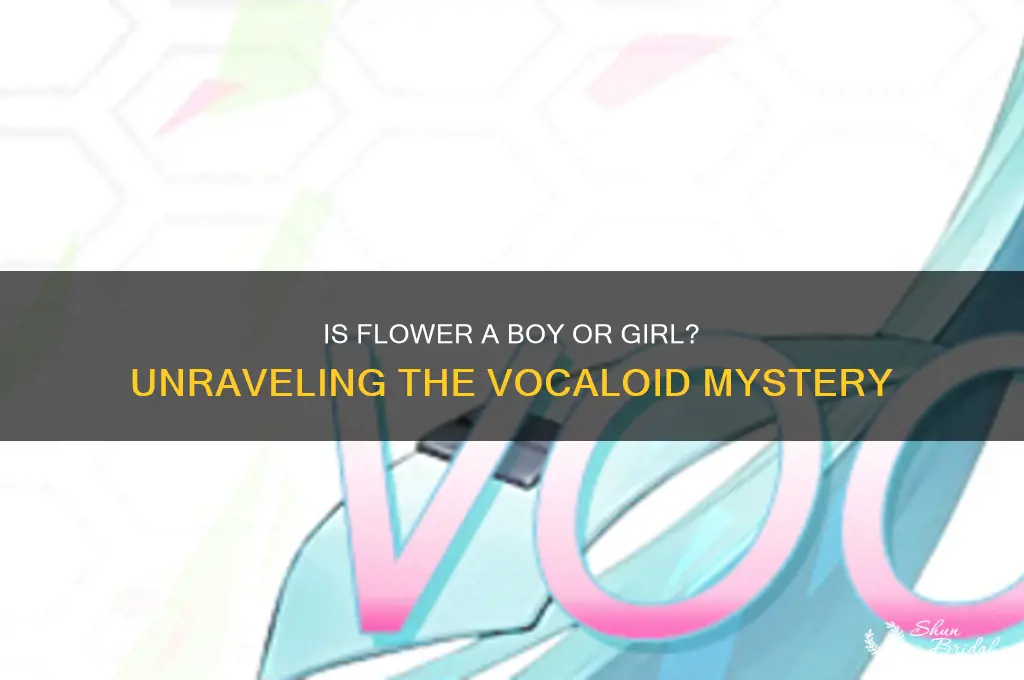 is flower a boy or girl vocaloid