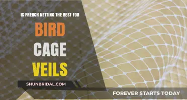 French Netting: The Ideal Choice for Birdcage Veils?