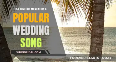 From This Moment On": A Wedding Song for the Age