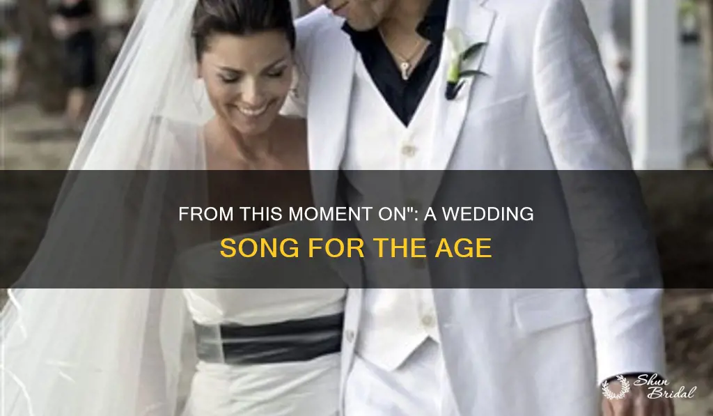 is from this moment on a popular wedding song