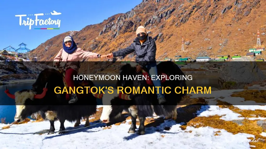 is gangtok good for honeymoon