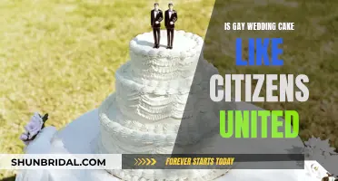 Gay Wedding Cake: Citizens United's Free Speech Legacy?