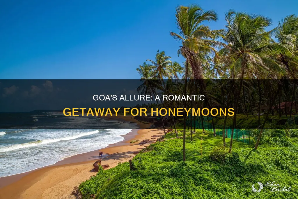 is goa a honeymoon destination