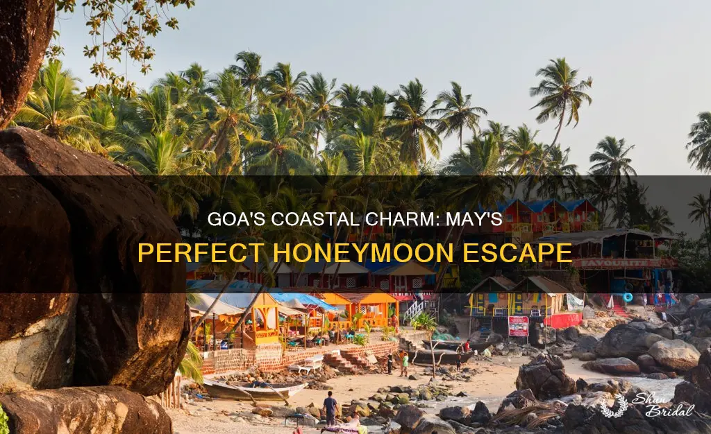 is goa good for honeymoon in may