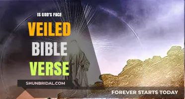 Is God's Face Veiled? Exploring Bible Verses on Divine Mystery