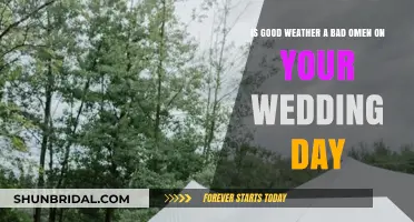 Sunny Skies, Stormy Signs? Decoding Wedding Day Weather Omens