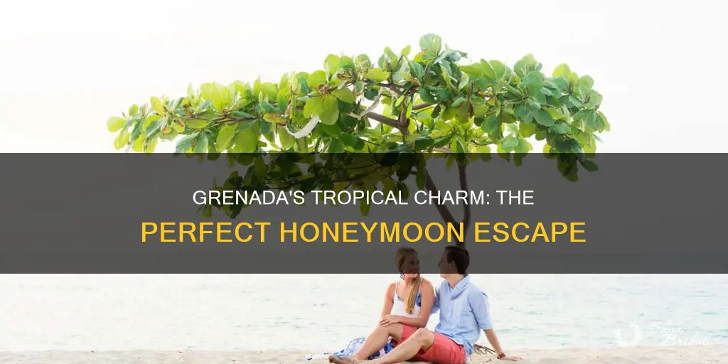 is grenada a good honeymoon destination