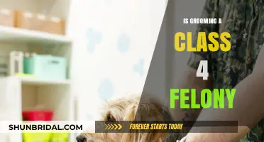 Understanding Grooming: Is It a Class 4 Felony?