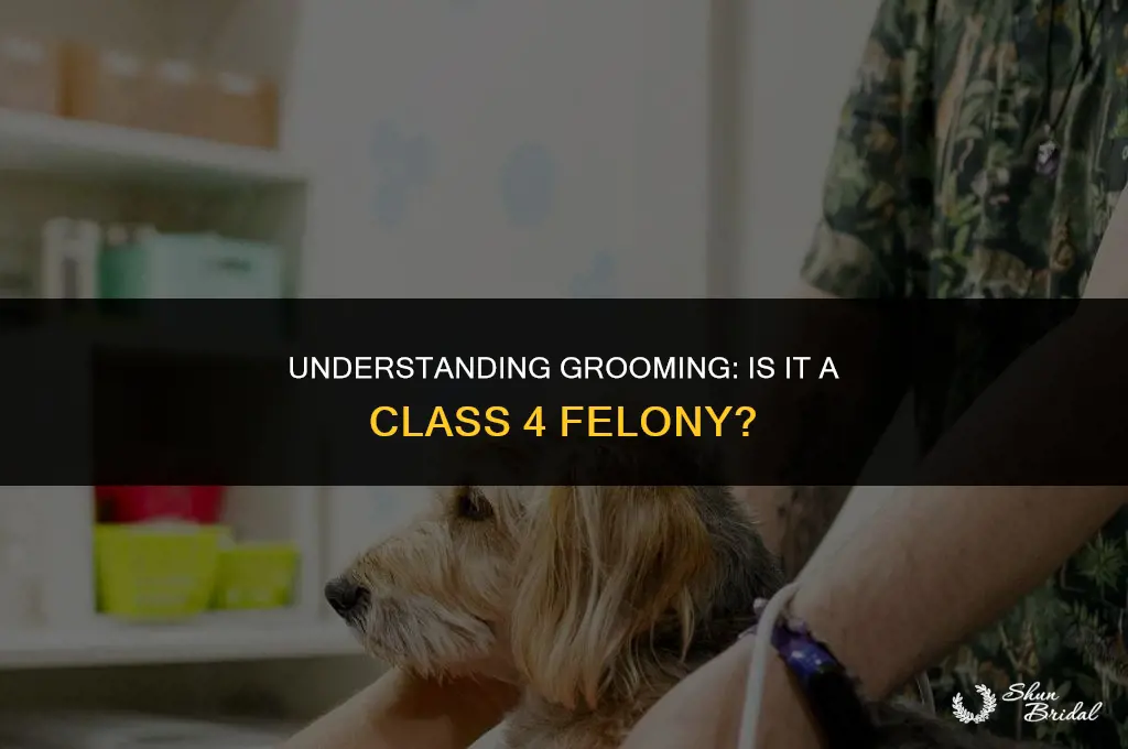 is grooming a class 4 felony