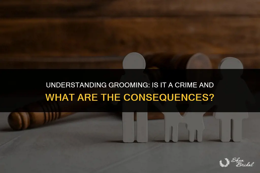 is grooming a crime